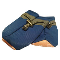 تصویر کفش پت