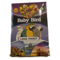 تصویر دان آجیلی طوطی سانان بزرگ برند بیبی برد